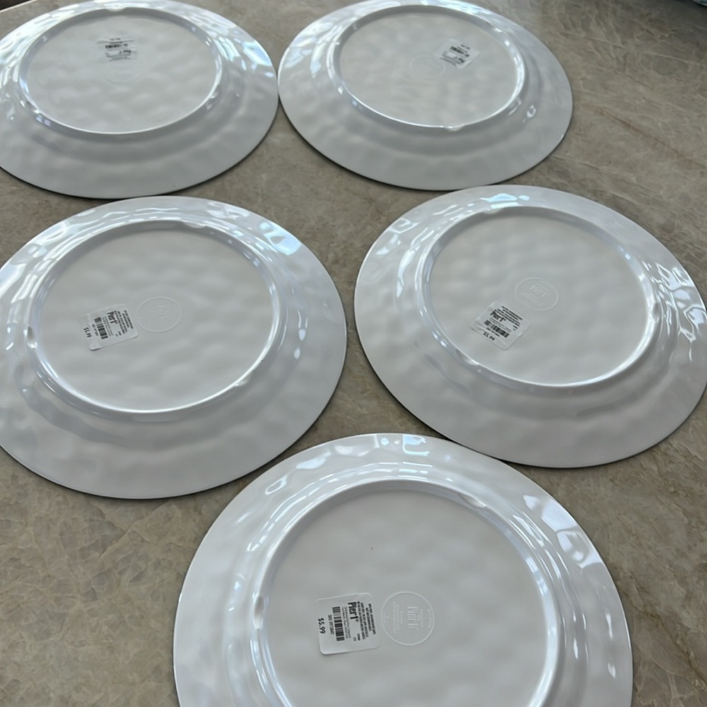 Pier 1 Watermelon Melamine Dinner Plates Set of 5 New Summer Picnic Pool Party - Picture 3 of 5